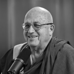 gdiy x matthieu ricard siteweb