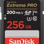 SanDisk Extreme PRO 256 Go